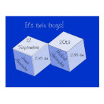 Postcard - Birth Announcement - Twin Boys postcards