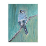 Postcard - Blue Jay Acrylic Art