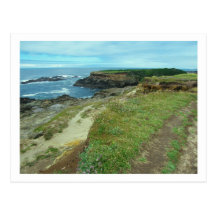 Postcard - California Pacific Coast scene #3