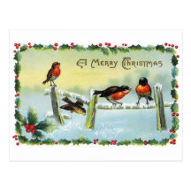 Postcard--Christmas robins sitting on a fence.