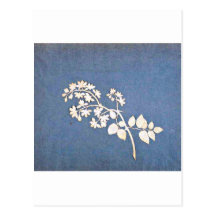 Postcard-Classic/Vintage-Philipp Otto Runge 13