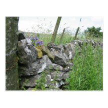 Postcard: Derbyshire Stone Wall