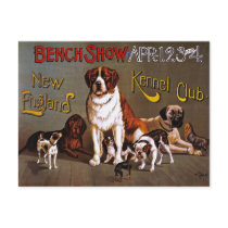 Postcard: Dog Show: Bench Show 1890