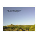 Postcard: Eagle Castle overlooking its vineyard