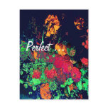 postcard Flower Series
