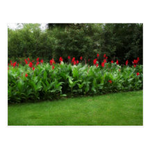 POSTCARD ~ GREENHOUSE PLANTS GARDEN OPEN BUSINESS