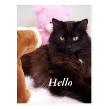 Postcard - Hello