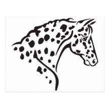 POSTCARD-LEOPARD APPALOOSA