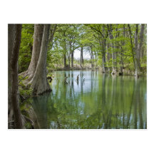 Postcard - "Oasis"