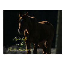 Postcard of Horse in the Rocky Mountains