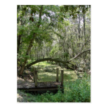 Postcard - Old Florida