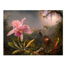 Postcard: Orchid and Hummingbirds