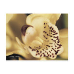 Postcard, Orchid Macro Photography, Colour
