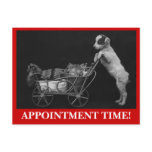 Postcard Pets Sweet Cat & Dog Appointment Reminder