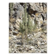 Postcard / Phoenix Mountains Perserve