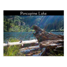 POSTCARD ~ "Porcupine Lake" near Clark Fork, Idaho