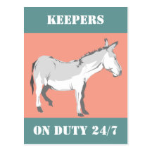 Postcard Promote Guard Herd Donkeys For Hire