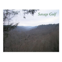 postcard, Savage Gulf