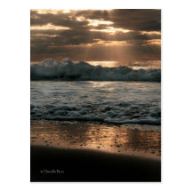 PostCard_splash