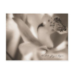 Postcard Template - Sepia Orchid (Photography)