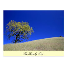 Postcard - The Lonely Tree