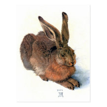 Postcard:  The Rabbit