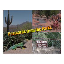 Postcard to the Governor