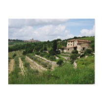 Postcard - Tuscan Vineyard and Hill Town