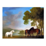 Postcard: Two Bay Mare & a Grey  Pony