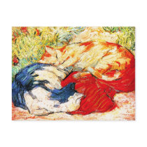 Postcard: Two Cats