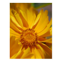 Postcard Vertical Template - Customized