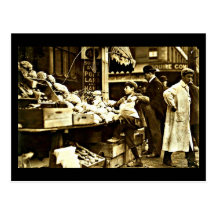 Postcard-Vintage Boston Photography 4
