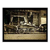 Postcard-Vintage Boston Photography 8