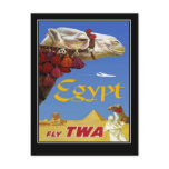 Postcard Vintage Travel Egypt Camel