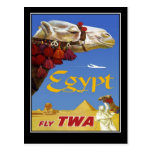 Postcard Vintage Travel Egypt Camel