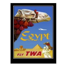 Postcard Vintage Travel Egypt Camel