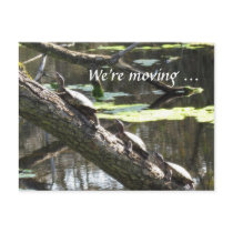 Postcard - We're moving ...