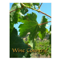 Postcard - Wine Country