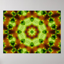 Poster Abstract Kaleidoscope Green Brown Flower
