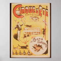 Poster advertising the Cirque d'Ete in the