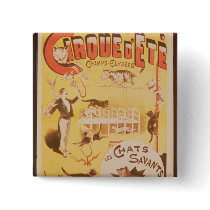 Poster advertising the Cirque d'Ete in the Pins