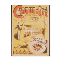 Poster advertising the Cirque d'Ete in the Post Card
