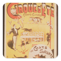Poster advertising the Cirque d'Ete in the Stickers