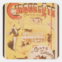 Poster advertising the Cirque d'Ete in the Stickers