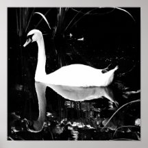 Poster-Animals-23