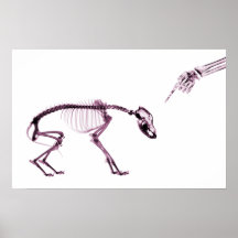 Poster- Bad Dog Xray Skeleton Original Pink