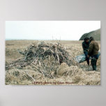 Poster /  Bald Eagle Nest