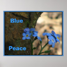 Poster - Blue Wild Flowers