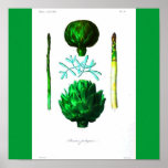 Poster-Botanicals-Artichoke and Asparagus