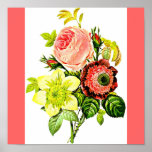 Poster-Botanicals-Pierre Joseph Redoute 5